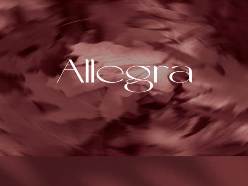 اليجرا العاصمة الادارية الجديدة Allegra New Capital