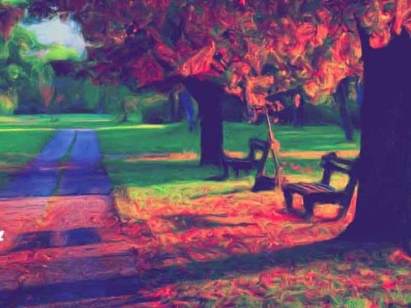 ايفورا القاهرة الجديدة 6