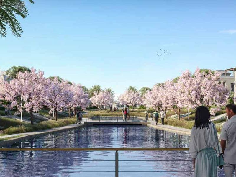 بيل في الشيخ زايد Belle Vie Sheikh Zayed 5