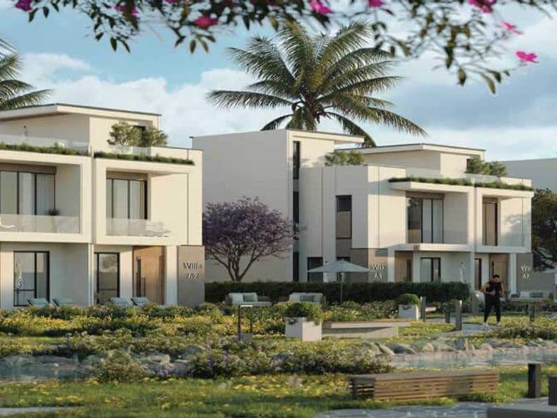 Canyon 8 New Capital 2
