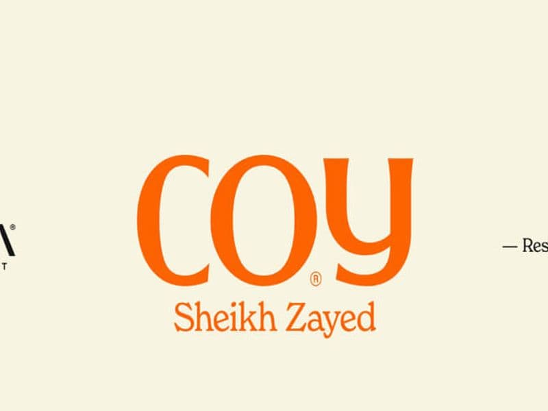 كوي الشيخ زايد 13