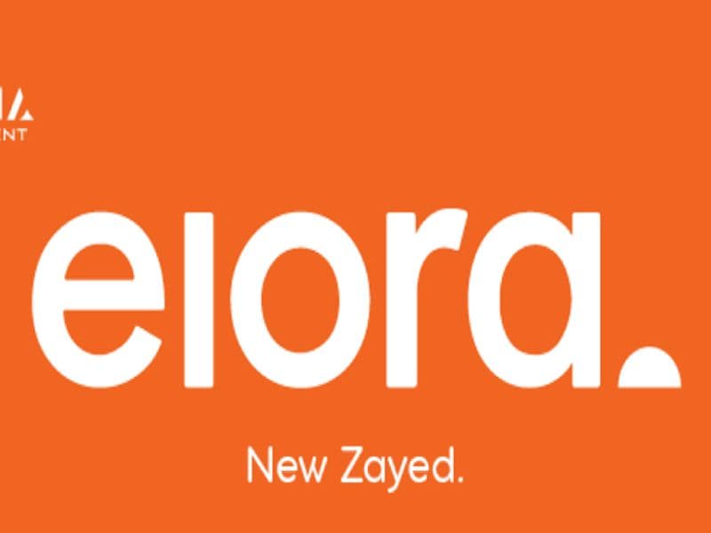 ايلورا زايد الجديدة ELORA NEW ZAYED 8