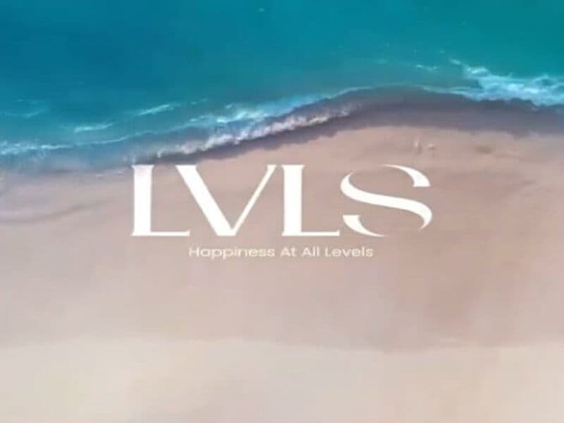 Lvls Mountain View North Coast 11