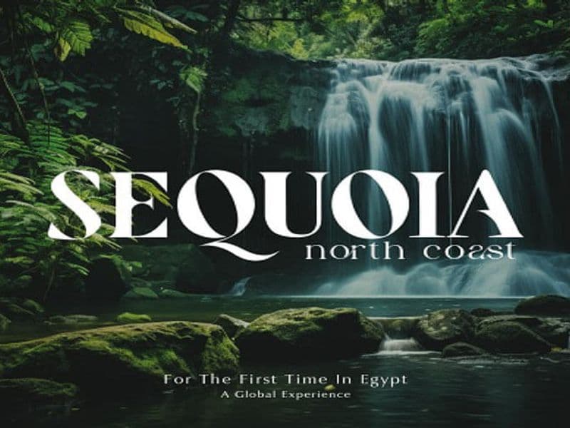 سيكويا الساحل الشمالي Sequoia North Coast