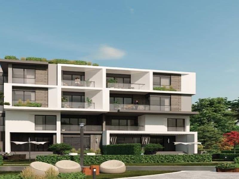 تراس الشيخ زايد Terrace El Sheikh Zayed 8
