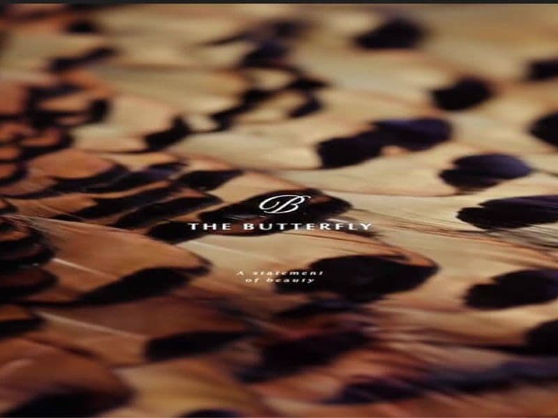 ذا بترفلاي المستقبل سيتي The Butterfly Mostakbel City