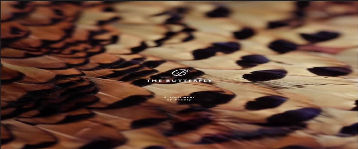 ذا بترفلاي المستقبل سيتي The Butterfly Mostakbel City