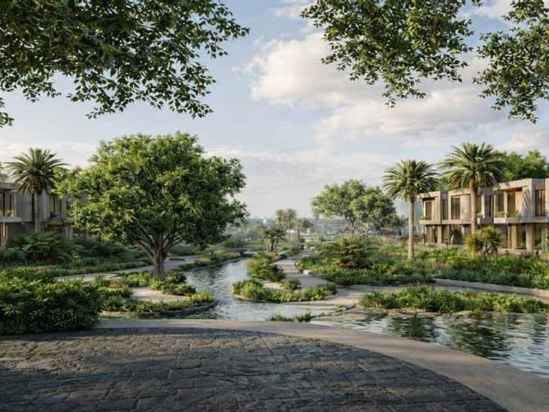 The Hillage Sheikh Zayed 6